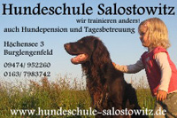 Hundeschule – Pension Salostowitz
